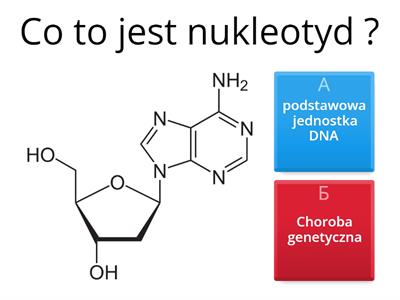 Biologia 8 klasa genetyka, DNA
