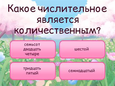  Имя числительное. Контрольная работа