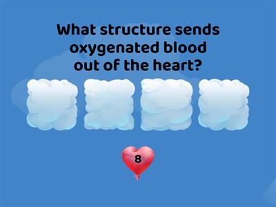 Cardiovascular System Review