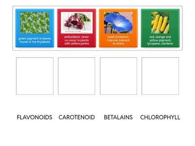 CHLOROPHYLL AND OTHER PIGMENTS-application