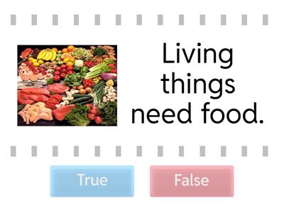  Living things need....