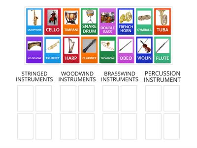 Types of Musical Instrument