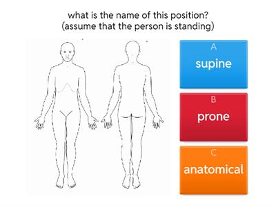 anatomical directions