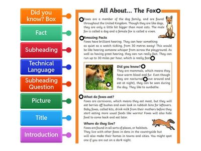 Non-Chronological Report