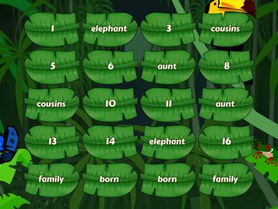 Nelson  the Baby Elephant