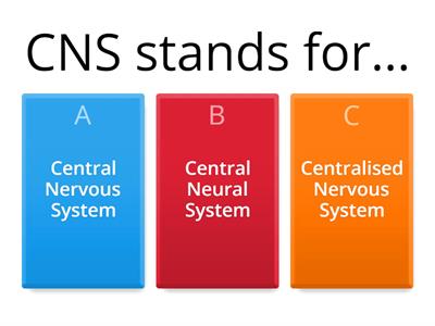 Nervous System Quiz