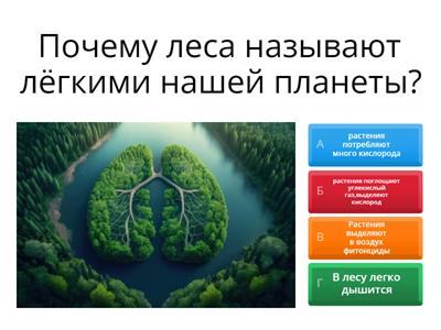 Окружающий мир 4 класс