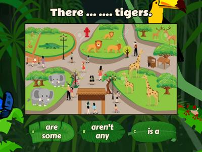 There are some/ There aren't any 