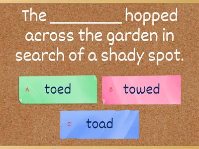 Homophones 4