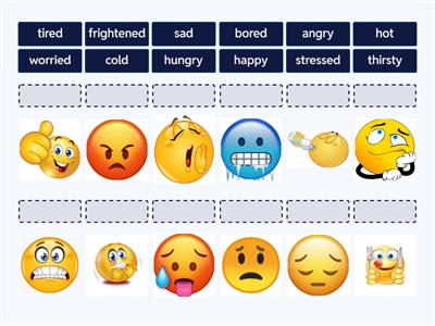 EF Elementary 2C. Feelings 