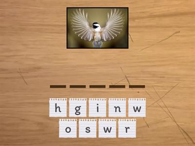  Parts of the body. Beehive 1. Writing.