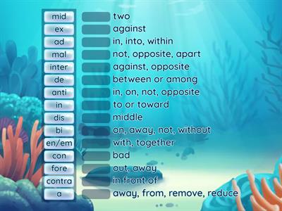 Dominic Prefix assessment (IMSE)