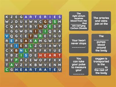 Circulatory system word search (clues)