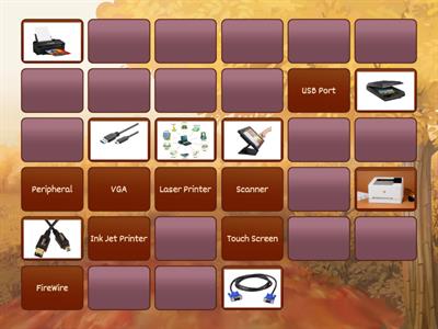 Computer Input & Output Devices 