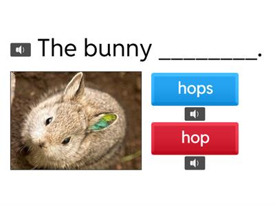 1 U2W3 Inflectional Ending -s