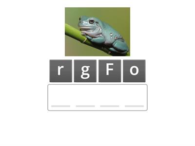 Get ready for Starters - pg.42 Anagram