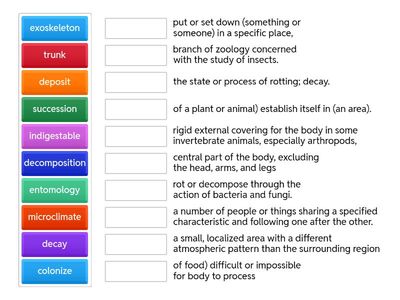 Bugs in Forensic Science Vocab