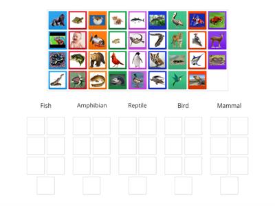 Animal Classification Group Sort