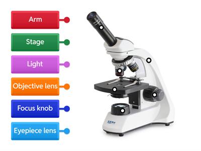 Microscope Labelling