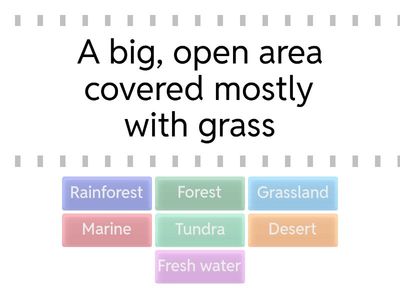 Biome Matching Game
