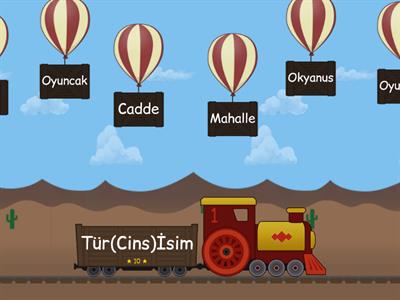 Özel-Tür(Cins)İsim     