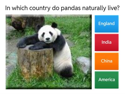 Endangered species quiz