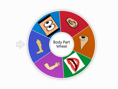 Body parts