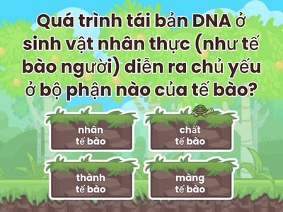 Choose câu trả lời đúng nhất