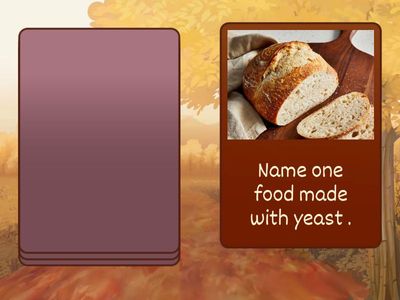 microorganism around us 