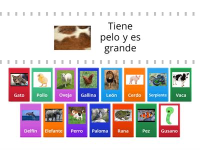 Animales