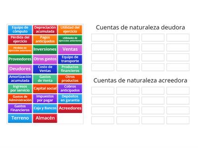 Naturaleza de las cuentas contables