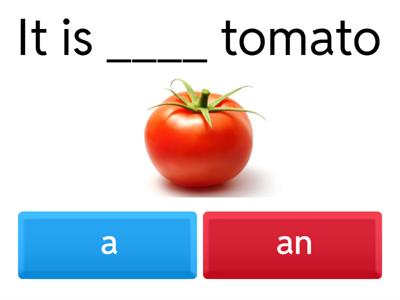 a - an multiple choice