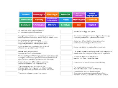 Mendelian & Non-Mendelian Vocab