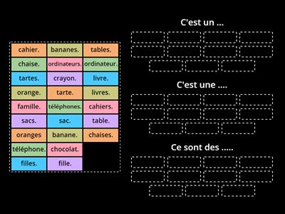 C'est un, une. Ce sont des ....