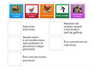 Exercice 2: Relie l'expression à la définition.