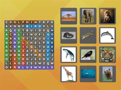 wordsearch animals