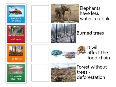 Cause and effect - Ecosystem