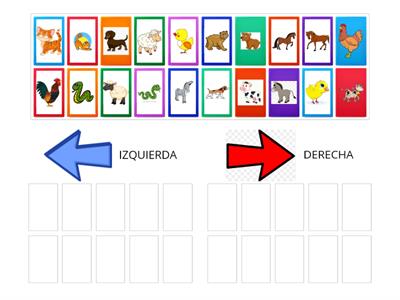 LATERALIDAD: IZQUIERDA Y DERECHA direccionalidad