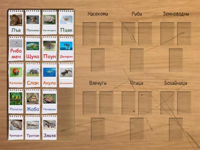 Групиране на животни