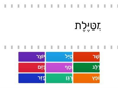 זכר- נקבה צירה סגול