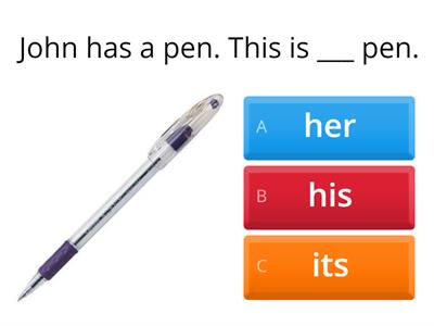 CCLC Possessive Adjectives practice