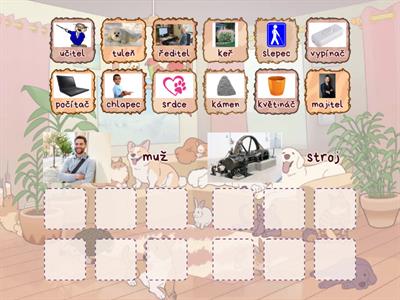 Vzory rodu mužského (muž,stroj)