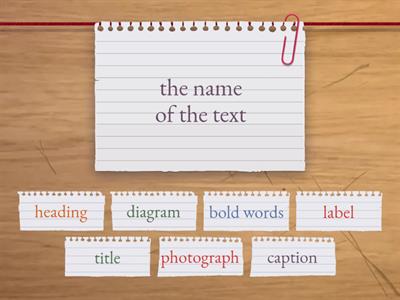 Text Feature Definitions