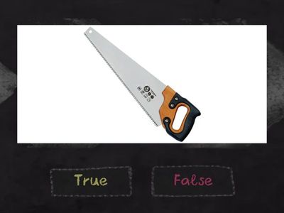 RAZ C - Busy At School (WS: Initial S)