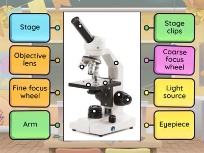 Light Microscope