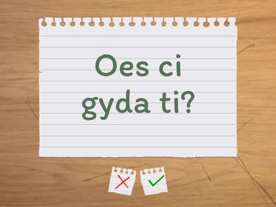 L2L Bl 6 full list Q&A For Filming PDM