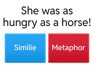 FMCS 4th grade Similes & Metaphors