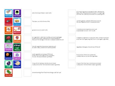 Station 3a: Cell Structure and Function
