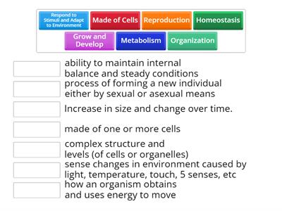Characteristics of Life Match - Up
