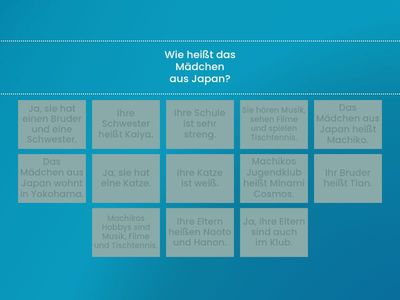 Jans Schulprojekt - pitanja i odgovori za Leseverstehen